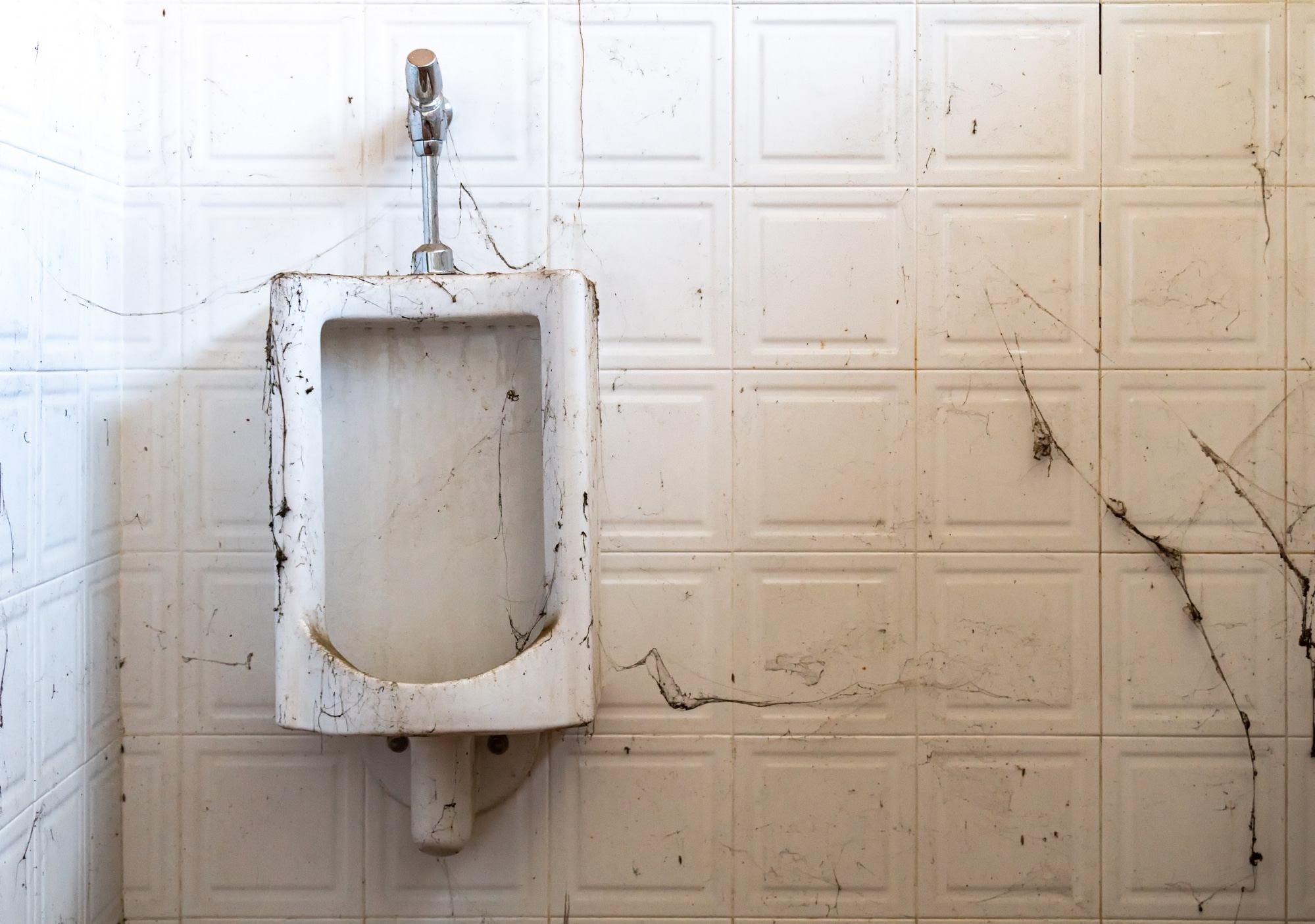 How to Know When It’s Time for a New Toilet