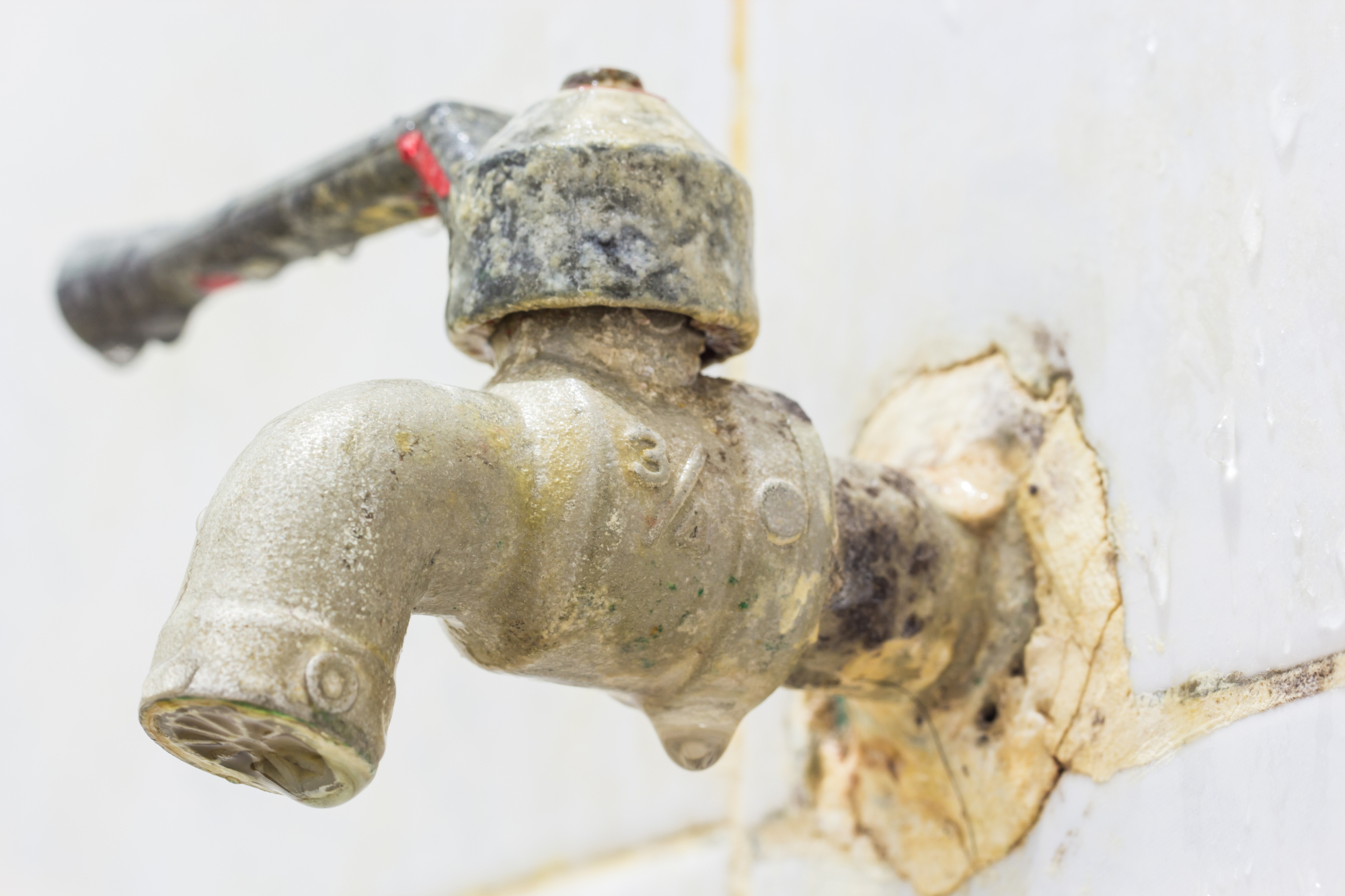 What You Need to Know About Toilet-to-Tap Water